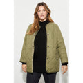 Sage - Lifestyle - Dorothy Perkins Womens-Ladies Contrast Collarless Plus Padded Jacket