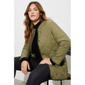 Sage - Pack Shot - Dorothy Perkins Womens-Ladies Contrast Collarless Plus Padded Jacket