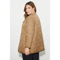 Chocolate - Back - Dorothy Perkins Womens-Ladies Contrast Collarless Plus Padded Jacket