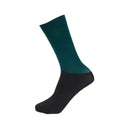 Green - Back - Aubrion Childrens-Kids Eltar Socks