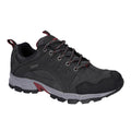 Graphite Grey-Dark Red - Front - Hi-Tec Mens Auckland Lite Suede Walking Shoes