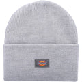 Heather Grey - Front - Dickies Unisex Adult Acrylic Cuffed Beanie