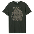 Charcoal - Front - Amplified Unisex Adult Dragon Temple Trivium T-Shirt