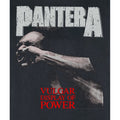 Charcoal - Back - Amplified Mens Vulgar Display Of Power Pantera Sleeveless Tank Top