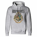 Heather Grey - Front - Harry Potter Unisex Adult Hogwarts Crest Hoodie