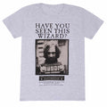 Heather Grey - Front - Harry Potter Unisex Adult Sirius Black Wanted Poster T-Shirt