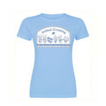 Sky Blue - Front - Animal Crossing Womens-Ladies Timmy & Tommy Fitted T-Shirt