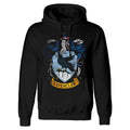 Black - Front - Harry Potter Unisex Adult Ravenclaw Distressed Hoodie