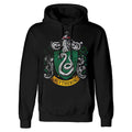 Black - Front - Harry Potter Unisex Adult Slytherin Distressed Hoodie