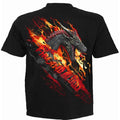 Black - Back - Game of Thrones Unisex Adult Fire And Blood T-Shirt