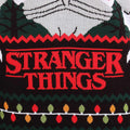 Multicoloured - Side - Stranger Things Unisex Adult Demogorgon Jumper