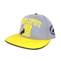 Grey-Yellow - Back - Harry Potter Hufflepuff Snapback Cap