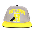 Grey-Yellow - Front - Harry Potter Hufflepuff Snapback Cap