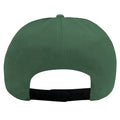 Green - Back - Legend Of Zelda Hyrule Logo Snapback Cap