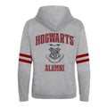 Grey - Back - Harry Potter Unisex Adult Hogwarts Alumni Full Zip Hoodie