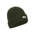 Green - Pack Shot - Mountain Warehouse Mens Knitted Thinsulate Beanie