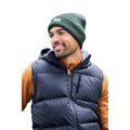 Green - Front - Mountain Warehouse Mens Knitted Thinsulate Beanie