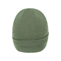 Green - Back - Mountain Warehouse Womens-Ladies Knitted Thinsulate Beanie