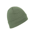 Green - Pack Shot - Mountain Warehouse Womens-Ladies Knitted Thinsulate Beanie