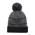 Charcoal - Back - Animal Dylan Pom Pom Recycled Skiing Beanie