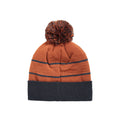 Dark Brown - Back - Animal Briggs Pom Pom Recycled Skiing Beanie