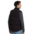 Black - Back - Animal Mens Fistral Quilted Borg Lined Gilet