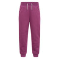 Berry - Front - Mountain Warehouse Childrens-Kids Alpine Faux Fur Lined Jogging Bottoms