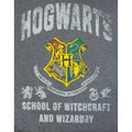 Charcoal - Pack Shot - Harry Potter Mens Hogwarts T-Shirt