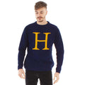 Blue - Front - Harry Potter Unisex Adult Letter H Christmas Jumper