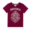 Red-Grey - Side - Harry Potter Girls Hogwarts Crest Glitter Pyjama Set