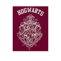 Red-Grey - Pack Shot - Harry Potter Girls Hogwarts Crest Glitter Pyjama Set