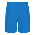 Royal Blue - Back - RIPT Essentials Mens Swim Shorts