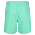 Aqua - Back - RIPT Essentials Mens Swim Shorts