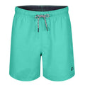 Turquoise - Front - RIPT Essentials Mens Swim Shorts