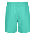 Turquoise - Back - RIPT Essentials Mens Swim Shorts