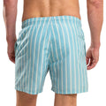 Light Blue - Back - RIPT Essentials Mens Stripe Swim Shorts