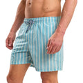 Light Blue - Side - RIPT Essentials Mens Stripe Swim Shorts