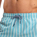 Light Blue - Lifestyle - RIPT Essentials Mens Stripe Swim Shorts