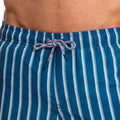 Navy - Lifestyle - RIPT Essentials Mens Stripe Swim Shorts