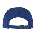 Sea Blue - Back - Flexfit Unisex Low Profile Cotton Twill Cap