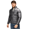 Seal Grey-Black - Back - Regatta Professional Mens Firedown Insulated Jacket