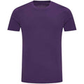 Purple - Front - AWDis Just Ts Mens The 100 T-Shirt