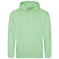 Apple Green - Back - Awdis Unisex Adult College Hoodie