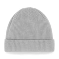 Light Grey - Back - Beechfield Organic Cotton Beanie