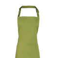 Oasis Green - Back - Premier Unisex Adult Colours Full Apron