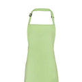 Pistachio - Back - Premier Unisex Adult Colours Full Apron