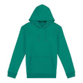 Gemstone Green - Front - Native Spirit Unisex Adult Heavyweight Hoodie