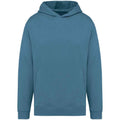 Adriatic Blue - Front - Native Spirit Unisex Adult Oversized Hoodie