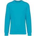 Light Turquoise - Front - Native Spirit Unisex Adult Crew Neck Sweatshirt