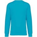 Light Turquoise - Back - Native Spirit Unisex Adult Crew Neck Sweatshirt